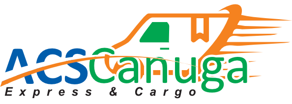 Polo Logo